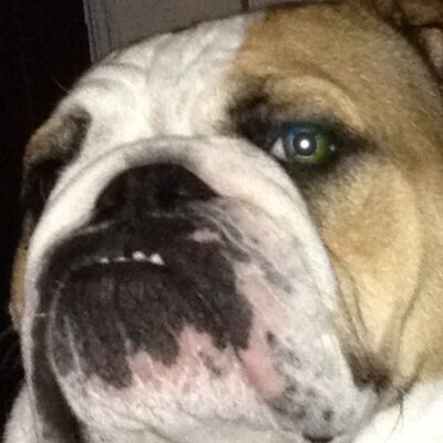 Profile Picture of Shawn Beauregard (@BEAUMMA) on Twitter