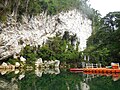 Profile Picture of Samar Island Natural Parkon Wikipedia