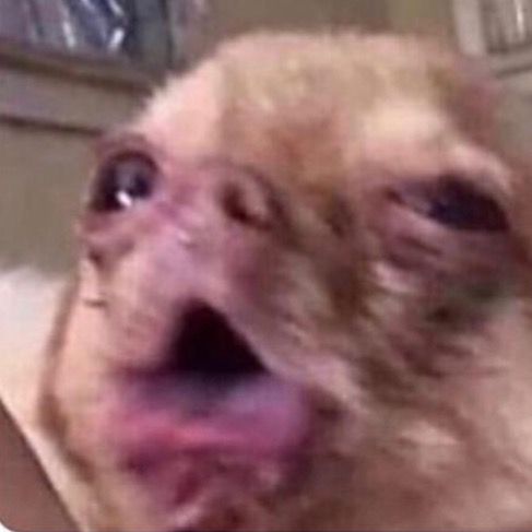 Profile Picture of Connie Wright (@@atinybaby) on Tiktok