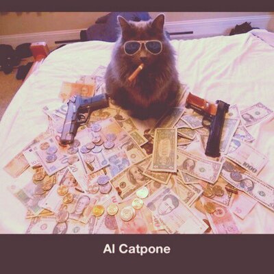 Profile Picture of Alexander Harding (@@alexharding1996) on Twitter