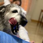 Profile Picture of Carloss Vis Nuñez (@carlos.viscarra.52) on Instagram