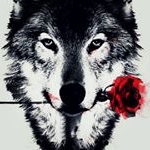 Profile Picture of Carlos Lanuza (@carlos.lanuza.5243) on Instagram