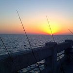 Profile Picture of Robin Brady (@robin.brady.5) on Instagram