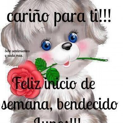 Profile Picture of Norma Leticia Vides (@NormaYobh) on Twitter