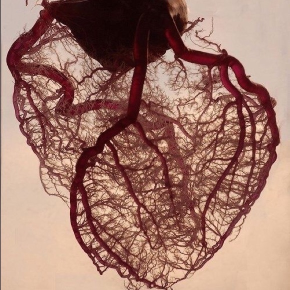 Profile Picture of Leah Bennett (@leahjben) on Poshmark