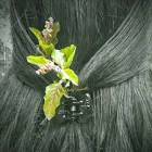 Profile Picture of   viji... (@crazygirrlmaluzz) on Tiktok