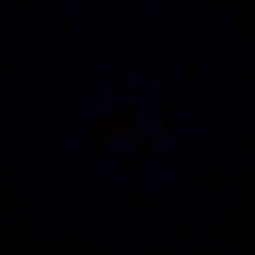 Profile Picture of david_fising_ (@david_fising) on Tiktok