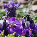 Profile Picture of Michael De Louise (@michaeldelouise) on Instagram