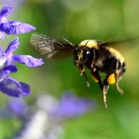 Michael Leeds - Quora Profile Picture of Michael Leeds (@michael-leeds-2) on Quora