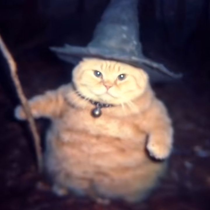 Profile Picture of Robert (@sherbert67__) on Tiktok