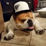 Profile Picture of Travis Marx (@travis_marx) on Instagram