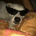 Profile Picture of Aaron Kainer (@aaron.kainer.5) on Facebook