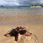 Profile Picture of Julian Zhu (@zhutrue) on Instagram