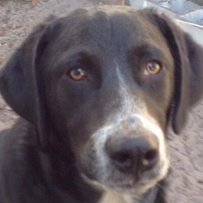 Profile Picture of Michael J. Mayse (@spartanraleigh) on Twitter