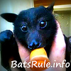 Profile Picture of james chadwick (@BatsRule) on Flickr