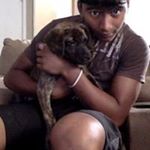 Profile Picture of Shaun Fernandez (@shamelessshaun) on Instagram