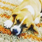 Profile Picture of scott gonzales🦴🦴 (@ruthaliagaspinetta) on Instagram