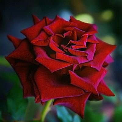 Profile Picture of Chris Summers (@Chris_Summers_) on Twitter