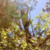 Profile Picture of Benjamin Seidel (@@benjaminseidel45) on Tiktok