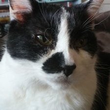 Profile Picture of Nick Zinn (@_NickZinn) on Twitter