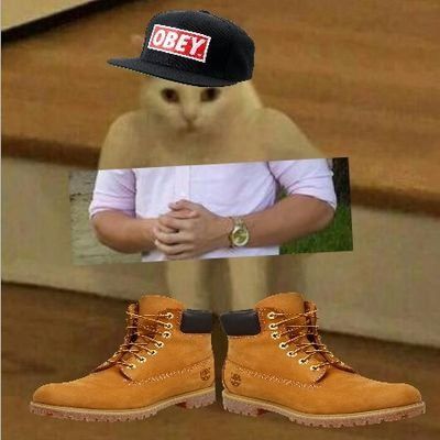 Profile Picture of Brady Ulery😝 (@bradybigboi) on Tiktok