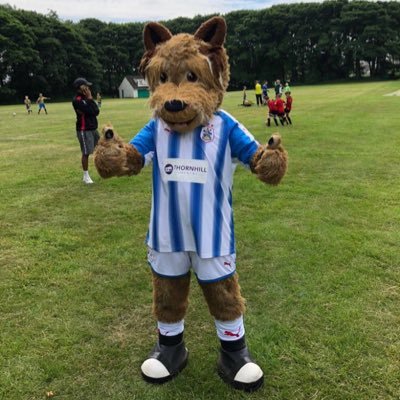 Profile Picture of Paul Wood (@woody_1905) on Twitter