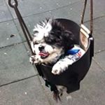 Profile Picture of Ellen Bloom (@bloom.massage) on Instagram