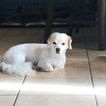 Fatima~🦋🌻 - Instagram Profile Picture of Fatima~🦋🌻 (@fatimabailey) on Instagram