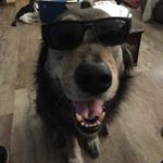 Profile Picture of Adam Malloy (@adammalloy19) on Instagram