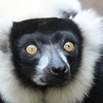 Profile Picture of Matthew Secrest (@secrestmatthew) on Instagram