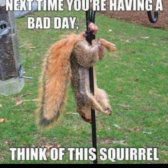 Profile Picture of Thomas Helfrich (@bunnystomper) on Poshmark