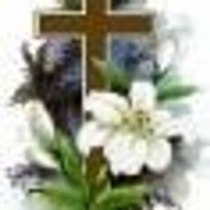 Profile Picture of Gloria Peters (@gloriannpeters) on Myspace