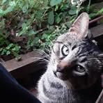 Profile Picture of Jay Wainwright (@jay.wainwright.2025) on Facebook