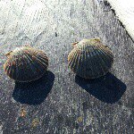 Profile Picture of sherry l flanders (@sherrylflanders) on Instagram