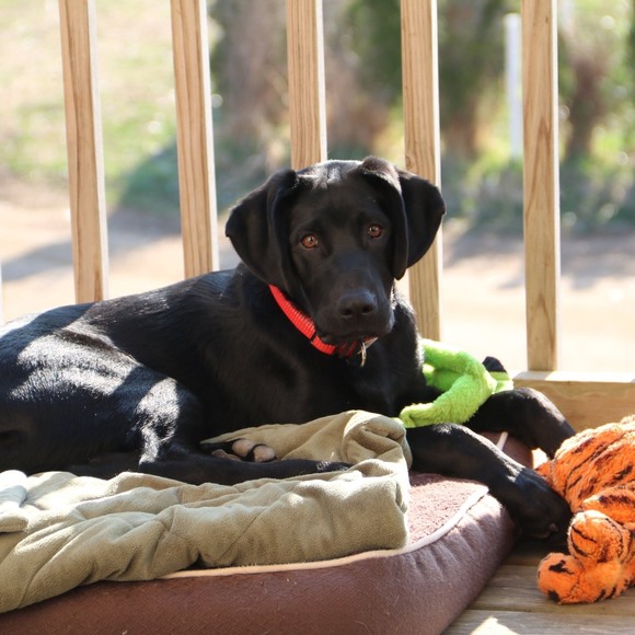 Profile Picture of Marie Borglum (@dittomax) on Poshmark