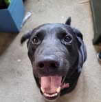 Profile Picture of Jamin Davis (@Jamin-Davis) on Facebook