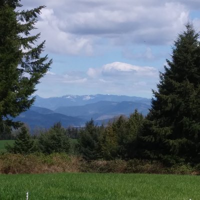 Profile Picture of Darren Schultz (@darren_schultz) on Twitter
