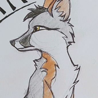 Profile Picture of Amanda Allen (@@amanda_mandy92) on Tiktok