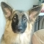 Ami's Day! - Youtube Profile Picture of Ami's Day! (@amisday946) on Youtube