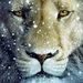 Profile Picture of Antonio Zubiate Reyes (@antoniozubiatereyes) on Pinterest