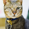 Profile Picture of Shou Heng , Liu (@h9960805) on Flickr