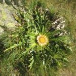 Profile Picture of Pili Markinez Lasheras (@markinezlasheras) on Instagram