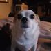 Profile Picture of Steve Marr (@steve.marr.712) on Facebook