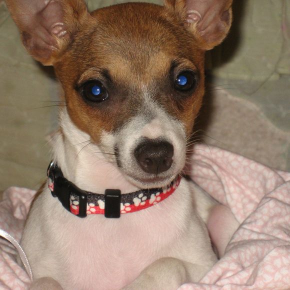 Profile Picture of Teresa Elshoff (@tde62) on Poshmark