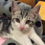 Profile Picture of Bonnie Keenan (@bonbonz69) on Instagram