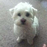 Profile Picture of Stewart Gilligan Schneider (@stewart_g_schneider) on Instagram