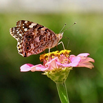 Profile Picture of James Tucker (@jamesedwardtucker) on Flickr