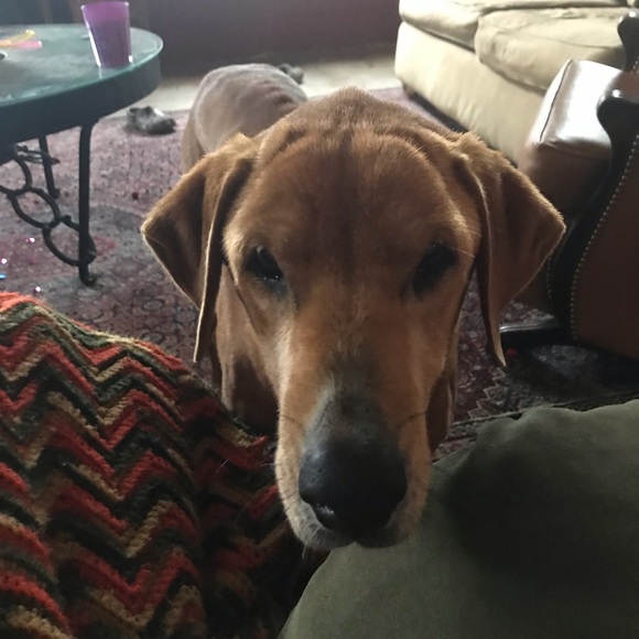 Profile Picture of Benjamin Adams (@bennyadams69) on Poshmark