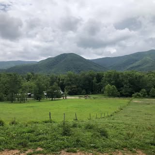 Profile Picture of John Pignataro (@pignatarojohn) on Instagram