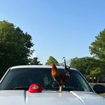 Profile Picture of Aaron Recendez (@99_recendez) on Instagram